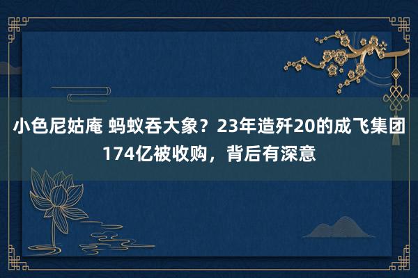 小色尼姑庵 蚂蚁吞大象？23年造歼20的成飞集团174亿被收购，背后有深意