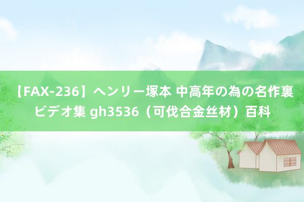 【FAX-236】ヘンリー塚本 中高年の為の名作裏ビデオ集 gh3536（可伐合金丝材）百科