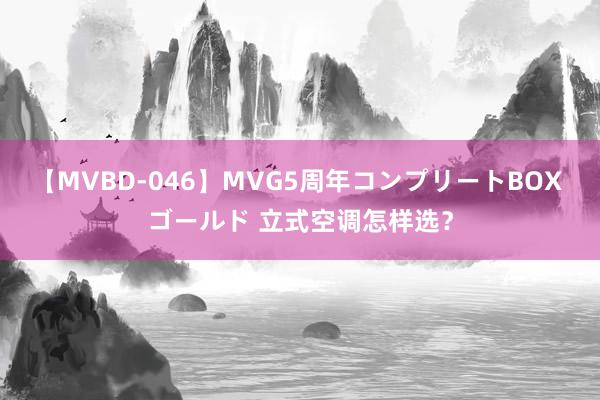 【MVBD-046】MVG5周年コンプリートBOX ゴールド 立式空调怎样选？