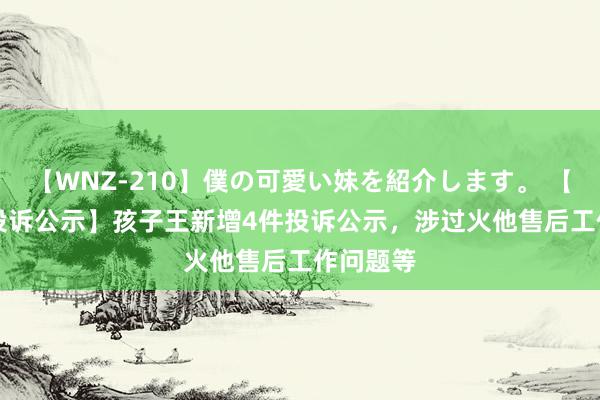 【WNZ-210】僕の可愛い妹を紹介します。 【12315投诉公示】孩子王新增4件投诉公示，涉过火他售后工作问题等