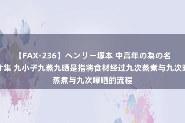 【FAX-236】ヘンリー塚本 中高年の為の名作裏ビデオ集 九小子九蒸九晒是指将食材经过九次蒸煮与九次曝晒的流程