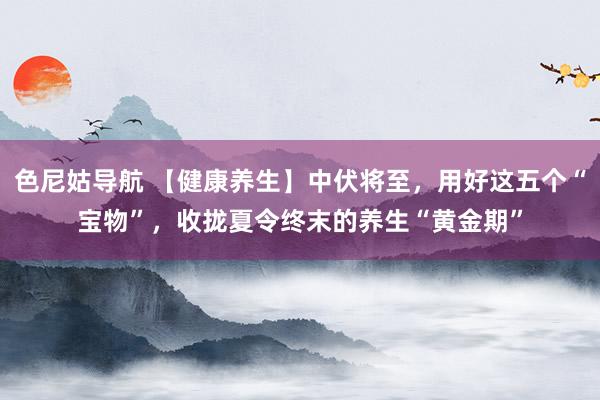 色尼姑导航 【健康养生】中伏将至，用好这五个“宝物”，收拢夏令终末的养生“黄金期”