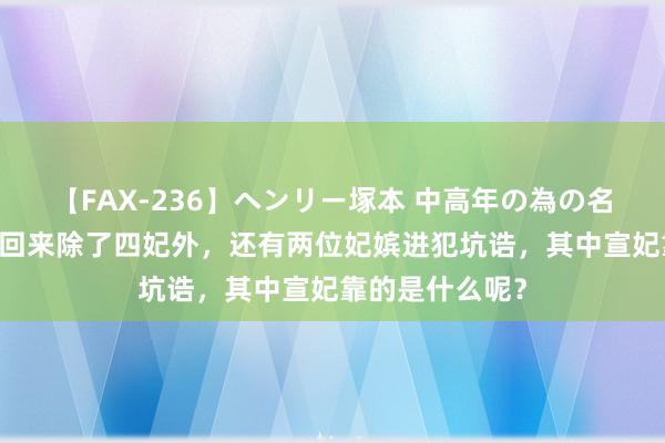 【FAX-236】ヘンリー塚本 中高年の為の名作裏ビデオ集 回来除了四妃外，还有两位妃嫔进犯坑诰，其中宣妃靠的是什么呢？