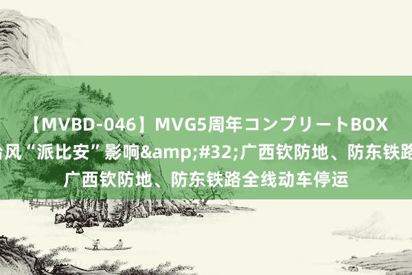 【MVBD-046】MVG5周年コンプリートBOX ゴールド 受台风“派比安”影响&#32;广西钦防地、防东铁路全线动车停运