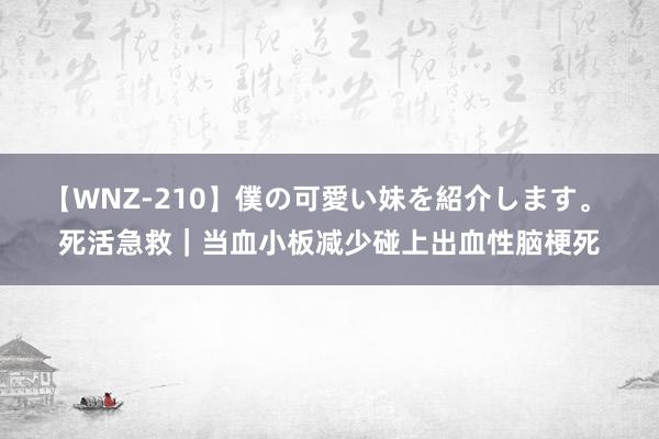 【WNZ-210】僕の可愛い妹を紹介します。 死活急救｜当血小板减少碰上出血性脑梗死