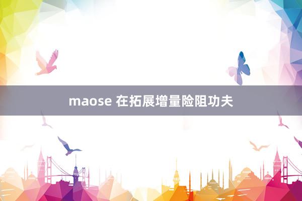 maose 在拓展增量险阻功夫