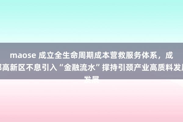 maose 成立全生命周期成本营救服务体系，成都高新区不息引入“金融流水”撑持引颈产业高质料发展