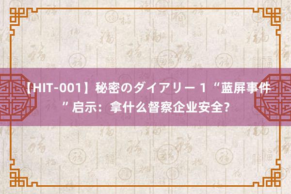 【HIT-001】秘密のダイアリー 1 “蓝屏事件”启示：拿什么督察企业安全？