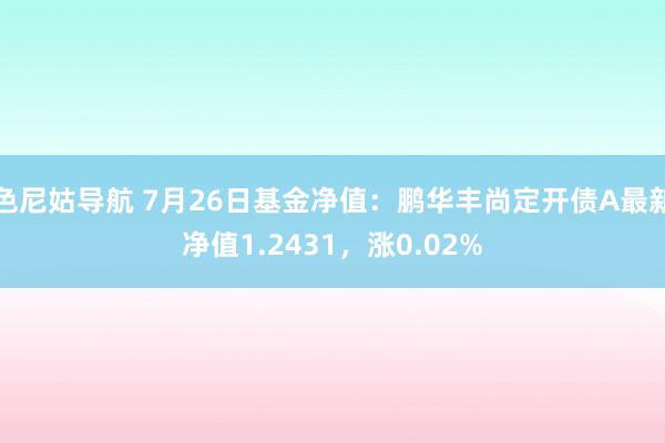 色尼姑导航 7月26日基金净值：鹏华丰尚定开债A最新净值1.2431，涨0.02%