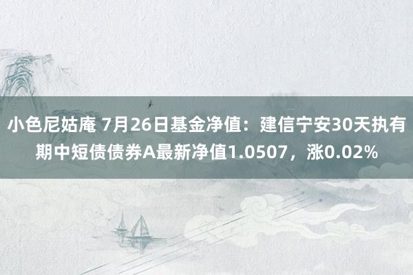 小色尼姑庵 7月26日基金净值：建信宁安30天执有期中短债债券A最新净值1.0507，涨0.02%