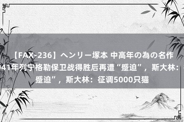 【FAX-236】ヘンリー塚本 中高年の為の名作裏ビデオ集 1941年列宁格勒保卫战得胜后再遭“蹙迫”，斯大林：征调5000只猫