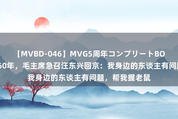 【MVBD-046】MVG5周年コンプリートBOX ゴールド 1960年，毛主席急召汪东兴回京：我身边的东谈主有问题，帮我握老鼠