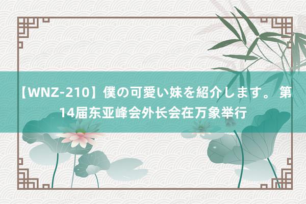 【WNZ-210】僕の可愛い妹を紹介します。 第14届东亚峰会外长会在万象举行