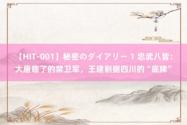 【HIT-001】秘密のダイアリー 1 忠武八皆：大唐临了的禁卫军，王建割据四川的“底牌”