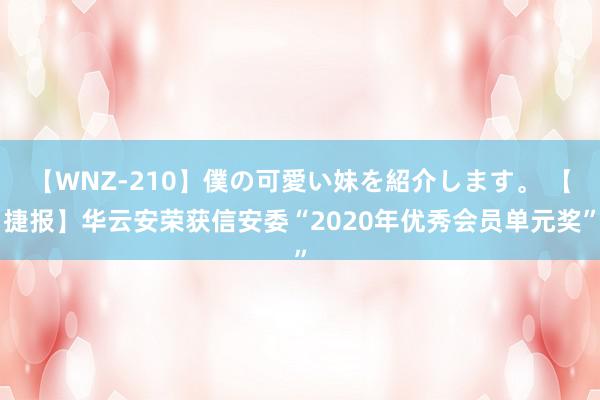 【WNZ-210】僕の可愛い妹を紹介します。 【捷报】华云安荣获信安委“2020年优秀会员单元奖”