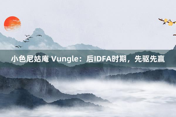 小色尼姑庵 Vungle：后IDFA时期，先驱先赢