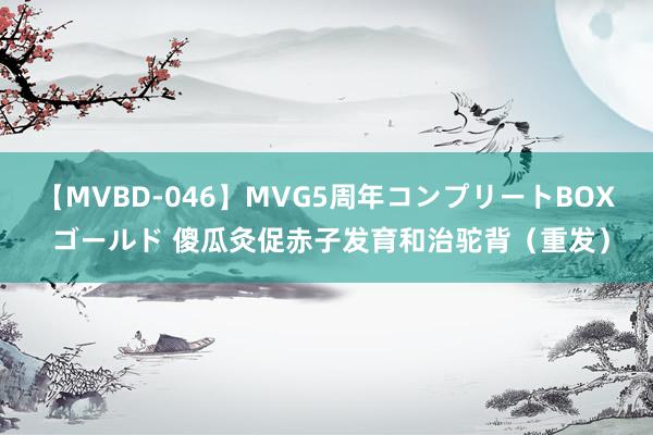 【MVBD-046】MVG5周年コンプリートBOX ゴールド 傻瓜灸促赤子发育和治驼背（重发）