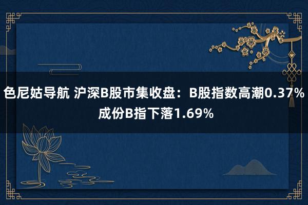 色尼姑导航 沪深B股市集收盘：B股指数高潮0.37% 成份B指下落1.69%