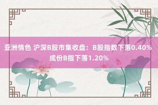 亚洲情色 沪深B股市集收盘：B股指数下落0.40% 成份B指下落1.20%