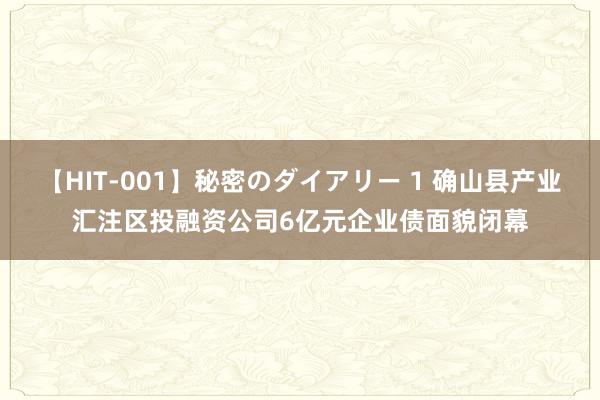 【HIT-001】秘密のダイアリー 1 确山县产业汇注区投融资公司6亿元企业债面貌闭幕