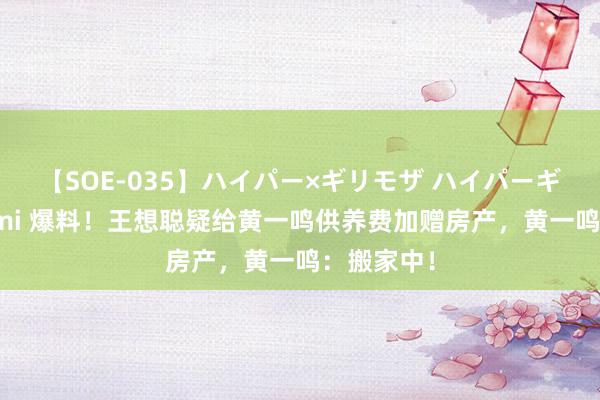 【SOE-035】ハイパー×ギリモザ ハイパーギリモザ Ami 爆料！王想聪疑给黄一鸣供养费加赠房产，黄一鸣：搬家中！