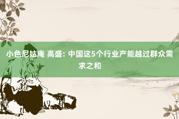 小色尼姑庵 高盛: 中国这5个行业产能越过群众需求之和