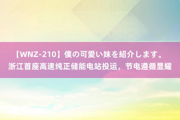 【WNZ-210】僕の可愛い妹を紹介します。 浙江首座高速纯正储能电站投运，节电遵循显耀