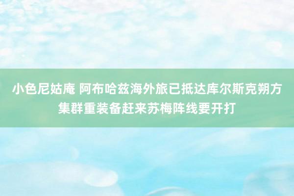 小色尼姑庵 阿布哈兹海外旅已抵达库尔斯克朔方集群重装备赶来苏梅阵线要开打