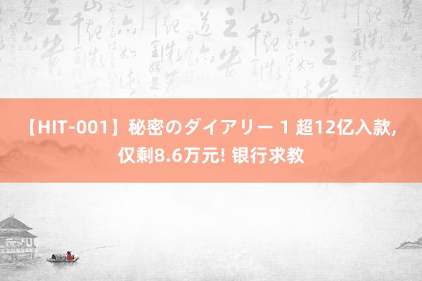 【HIT-001】秘密のダイアリー 1 超12亿入款, 仅剩8.6万元! 银行求教