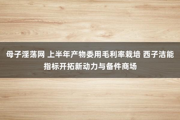 母子淫荡网 上半年产物委用毛利率栽培 西子洁能指标开拓新动力与备件商场