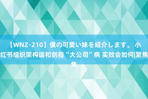 【WNZ-210】僕の可愛い妹を紹介します。 小红书组织架构谐和剑指“大公司”病 实效会如何|聚焦