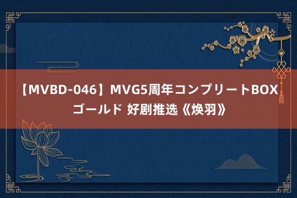 【MVBD-046】MVG5周年コンプリートBOX ゴールド 好剧推选《焕羽》