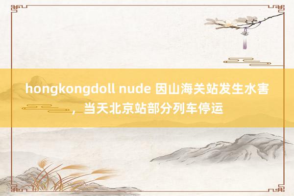 hongkongdoll nude 因山海关站发生水害，当天北京站部分列车停运