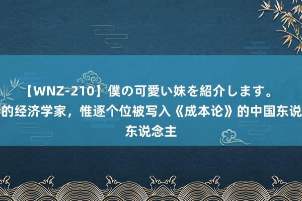 【WNZ-210】僕の可愛い妹を紹介します。 晚清的经济学家，惟逐个位被写入《成本论》的中国东说念主