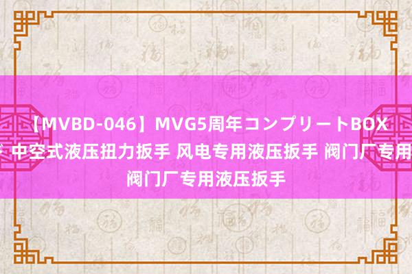 【MVBD-046】MVG5周年コンプリートBOX ゴールド 中空式液压扭力扳手 风电专用液压扳手 阀门厂专用液压扳手