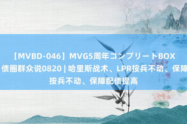 【MVBD-046】MVG5周年コンプリートBOX ゴールド 债圈群众说0820 | 哈里斯战术、LPR按兵不动、保障配债提高