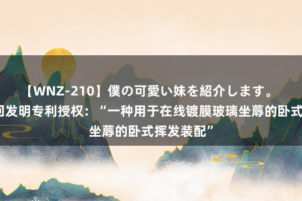 【WNZ-210】僕の可愛い妹を紹介します。 福莱特得回发明专利授权：“一种用于在线镀膜玻璃坐蓐的卧式挥发装配”