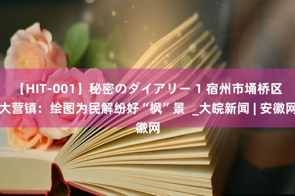 【HIT-001】秘密のダイアリー 1 宿州市埇桥区大营镇：绘图为民解纷好“枫”景  _大皖新闻 | 安徽网