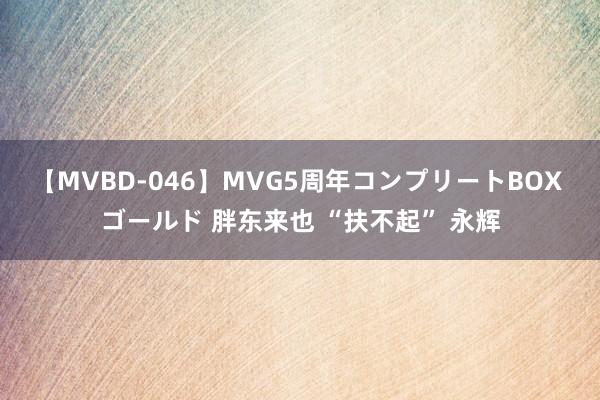 【MVBD-046】MVG5周年コンプリートBOX ゴールド 胖东来也 “扶不起” 永辉