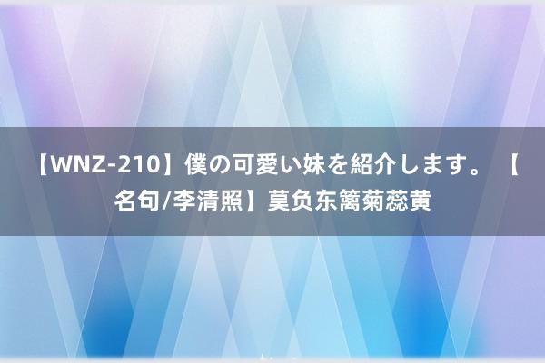 【WNZ-210】僕の可愛い妹を紹介します。 【名句/李清照】茣负东篱菊蕊黄